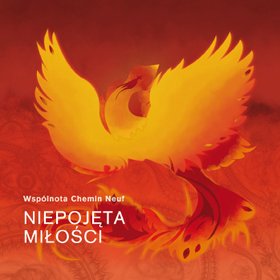 Un si grand amour - Niepoj&#281ta mi&#322o&#347ci