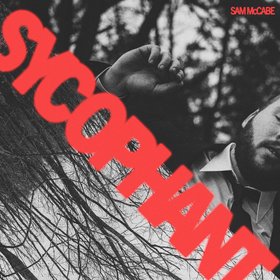 Sycophant