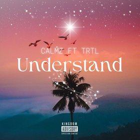 Understand